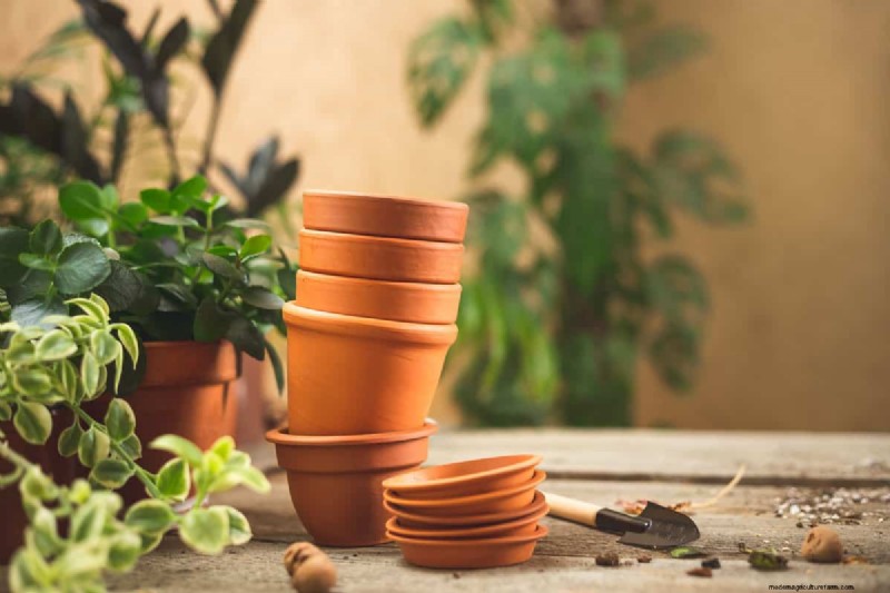 Comment sceller des pots en terre cuite :5 techniques expertes pour la longévité et la santé des plantes 