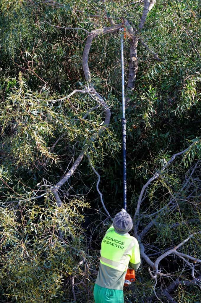 ステップバイステップ:Stihl ポールソーを安全かつ自信を持って再組み立てします 