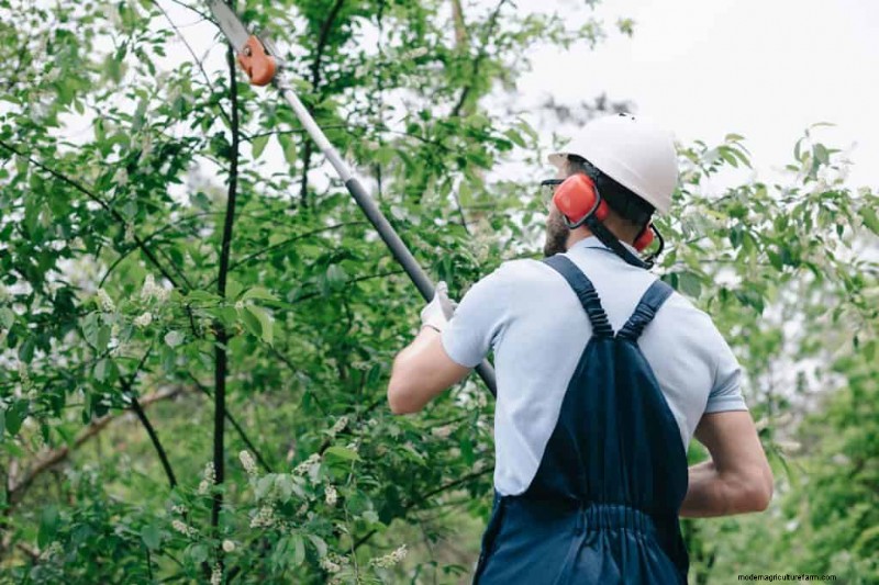 ステップバイステップ:Stihl ポールソーを安全かつ自信を持って再組み立てします 