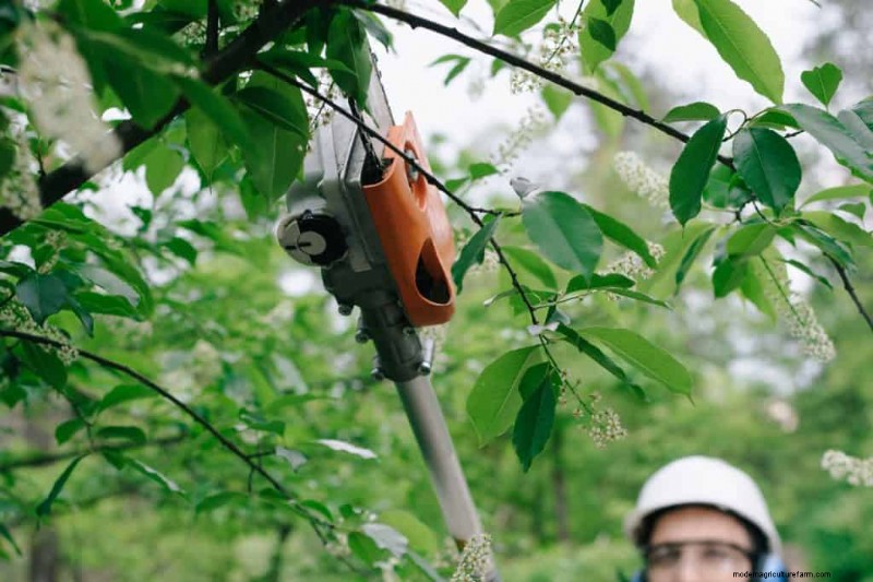 ステップバイステップ:Stihl ポールソーを安全かつ自信を持って再組み立てします 