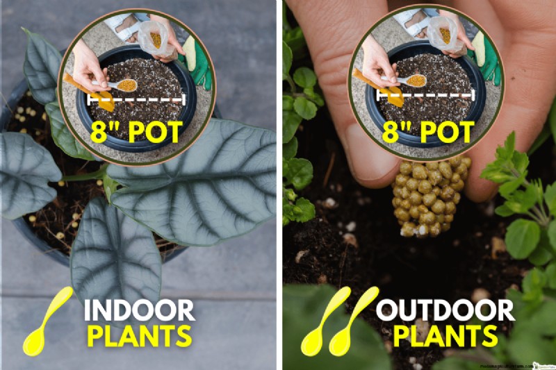 Hoeveel Osmocote-meststof heb ik nodig voor potplanten? 