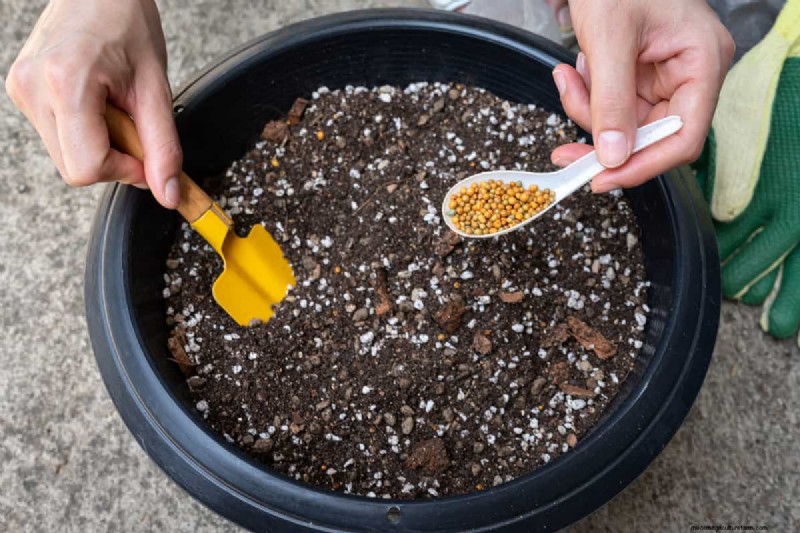 Hoeveel Osmocote-meststof heb ik nodig voor potplanten? 